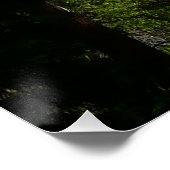 Yosemite Falls II aus dem Yosemite Nationalpark Poster (Ecke)