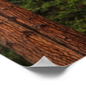 Yosemite Falls, Kalifornien Poster (Ecke)