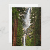 Yosemite Falls, Kalifornien Postkarte (Vorne/Hinten)