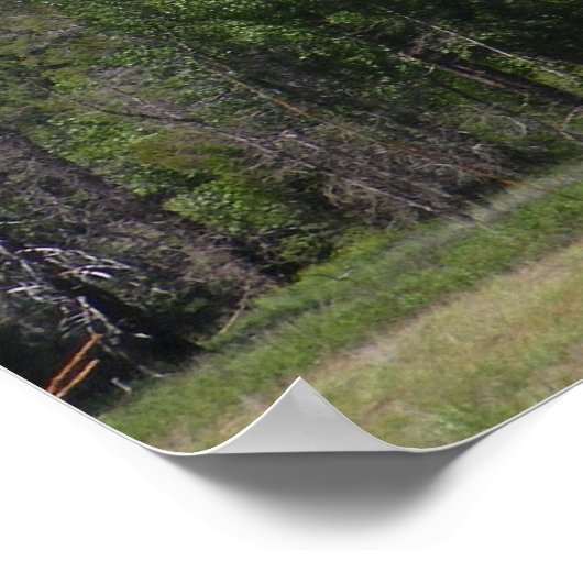 Yosemite Falls Poster (Ecke)