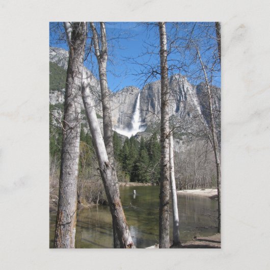 Yosemite Falls Postkarte (Vorderseite)