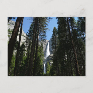 Yosemite Falls und Wald Landschaftsfotografie Postkarte