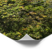 Yosemite Falls vom Four Mile Trail Poster (Ecke)