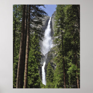 Yosemite Falls, Yosemite National Park Poster