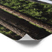 Yosemite Falls, Yosemite National Park Poster (Ecke)