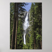 Yosemite Falls, Yosemite National Park Poster (Vorne)