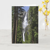 Yosemite Falls, Yosemite Nationalpark Karte (Gelbe Blume)