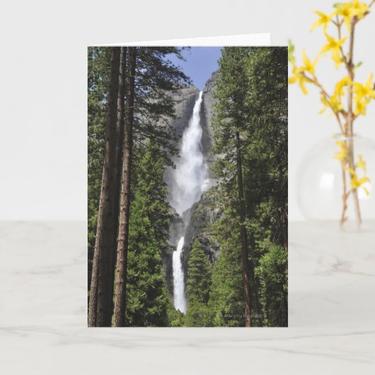 Yosemite Falls, Yosemite Nationalpark Karte (Gelbe Blume)