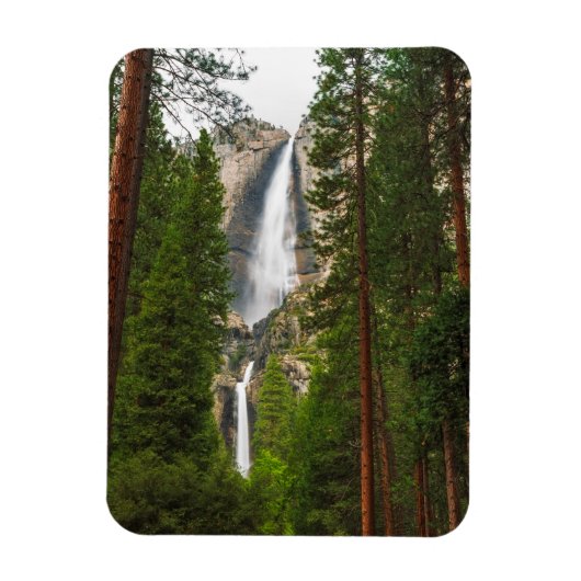 Yosemite fällt durch den Wald Magnet (Vertikal)