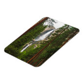 Yosemite fällt durch den Wald Magnet (Linke Seite)