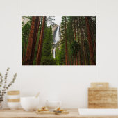 Yosemite fällt durch den Wald Poster (Küche)