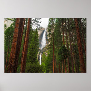 Yosemite fällt durch den Wald Poster
