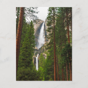 Yosemite fällt durch den Wald Postkarte