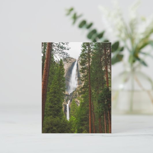 Yosemite fällt durch den Wald Postkarte (Stehend Vorderseite)