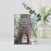 Yosemite hat Big Trees zu Postkarte (Stehend Vorderseite)