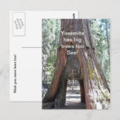 Yosemite hat Big Trees zu Postkarte (Vorne/Hinten)