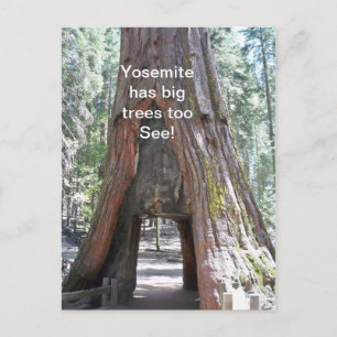Yosemite hat Big Trees zu Postkarte