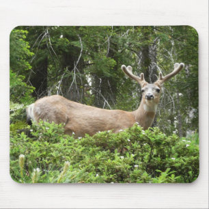 Yosemite-Hirsch-Naturfotografie Mousepad