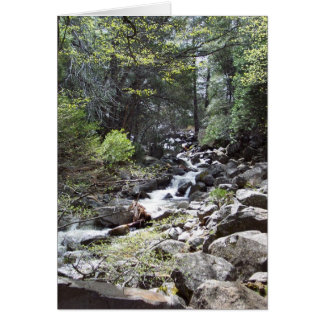 Yosemite in Springtime: Bridalveil Falls Trail