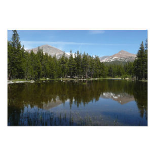 Yosemite Lake Reflection Fotodruck