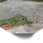 Yosemite Lower Falls aus dem Yosemite Nationalpark Poster (Ecke)