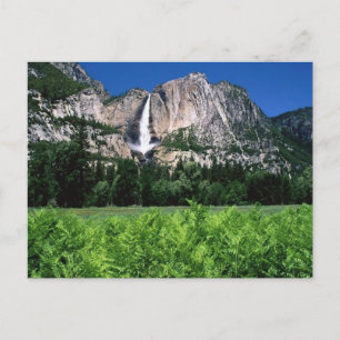 Yosemite National Park, Ca Postkarte