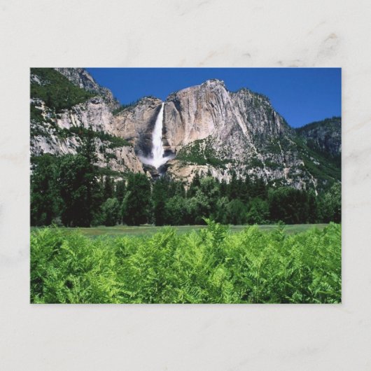 Yosemite National Park, Ca Postkarte (Vorderseite)