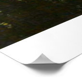 Yosemite National Park Different View Poster (Ecke)