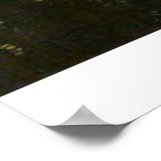 Yosemite National Park Different View Poster (Ecke)