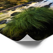 Yosemite National Park, Kalifornien Poster (Ecke)