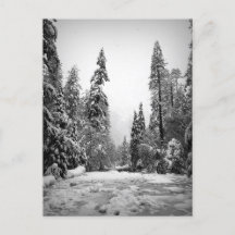 Yosemite National Park, Kalifornien