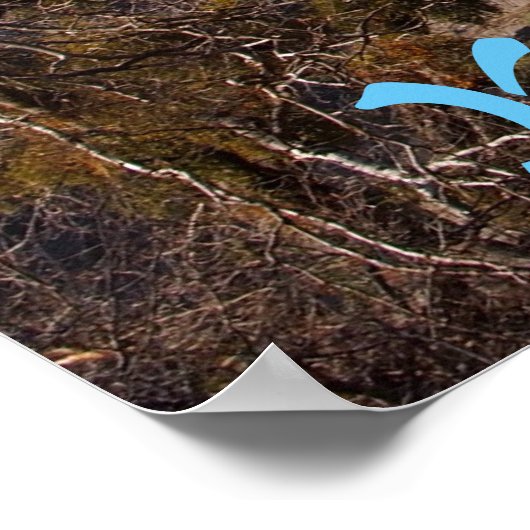 Yosemite National Park Scenery Poster (Ecke)