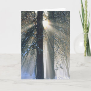 Yosemite National Park - Sonnenstrahlen streaming Karte