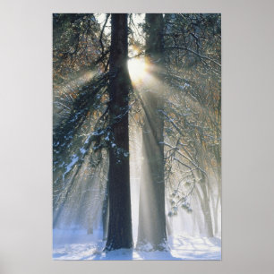 Yosemite National Park - Sonnenstrahlen streaming Poster