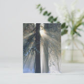 Yosemite National Park - Sonnenstrahlen streaming Postkarte (Stehend Vorderseite)