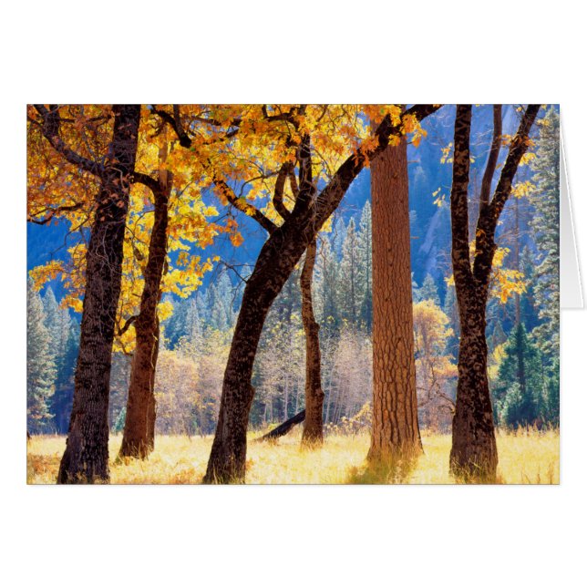 Yosemite-Nationalpark (Vorderseite (Horizontal))