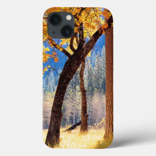 Yosemite-Nationalpark Case-Mate iPhone Hülle (Rückseite)