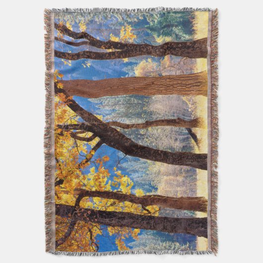 Yosemite Nationalpark Decke (Vorderseite Vertikal)