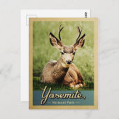 Yosemite Nationalpark Deer Vintage Reise Postkarte (Vorne/Hinten)