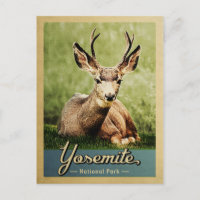 Yosemite Nationalpark Deer Vintage Reise