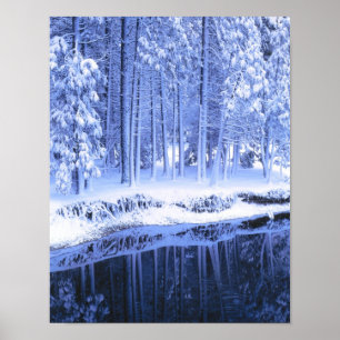 YOSEMITE NATIONALPARK, KALIFORNIEN. USA. Frisch Poster