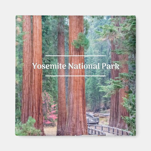 Yosemite Nationalpark Magnet (Vorne)