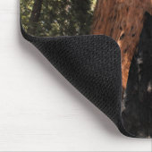 Yosemite Nationalpark Mammutbaum-Foto mousepad (Ecke)