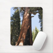 Yosemite Nationalpark Mammutbaum-Foto mousepad (Mit Mouse)