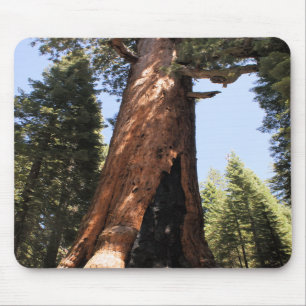 Yosemite Nationalpark Mammutbaum-Foto mousepad