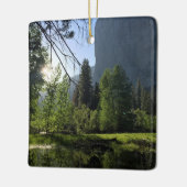 Yosemite Nationalpark Ornament (Links)