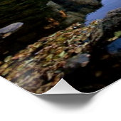 Yosemite-Nationalpark Poster (Ecke)