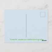 Yosemite-Nationalpark Postkarte (Rückseite)