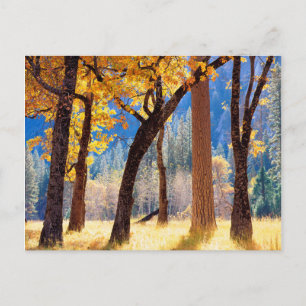 Yosemite-Nationalpark Postkarte