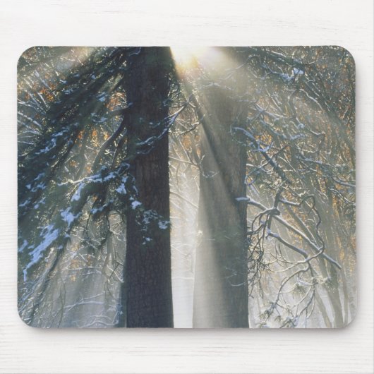 Yosemite-Nationalpark - Sonnenstrahlen streaming Mousepad (Vorne)